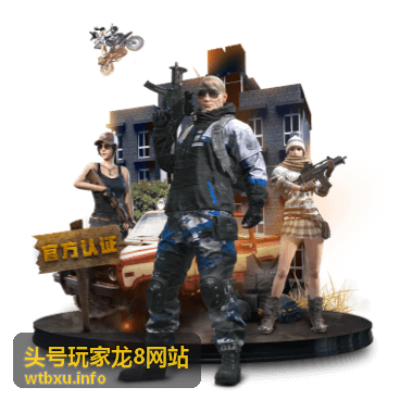 版本攻略头号玩家龙8网站